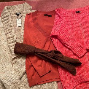 Set of Three Express Sweaters - Fall Colors (XS)